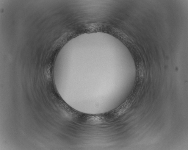 X0000072970611200608211323