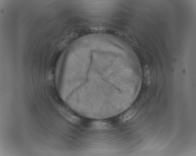 X0000072970614200608211323