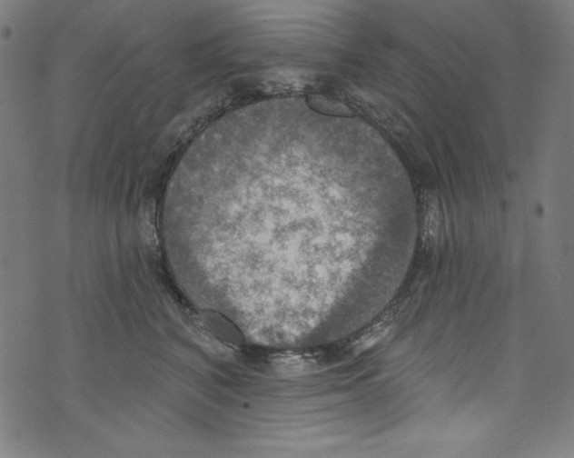 X0000072970616200608211323