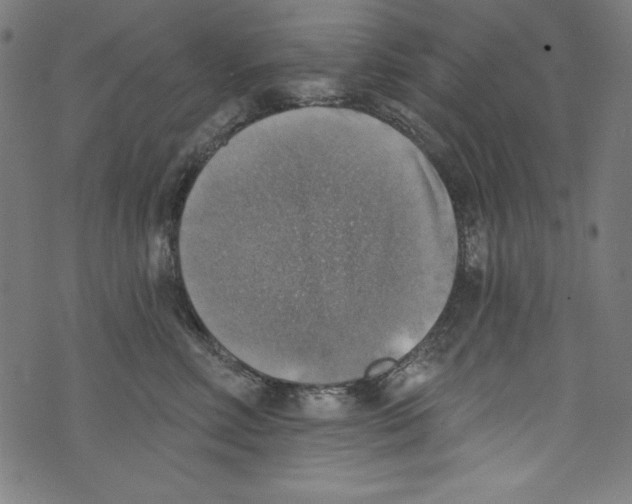 X0000072970618200608211323