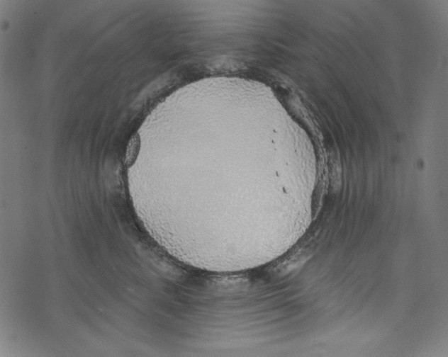 X0000072970619200608211323