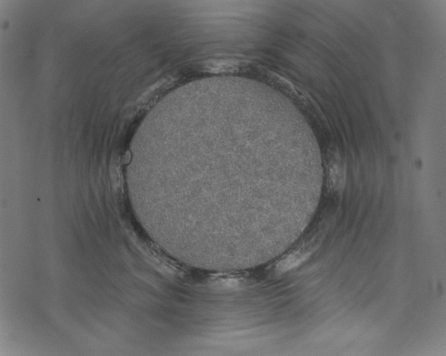 X0000072970620200608211323