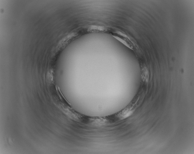 X0000072970621200608211323