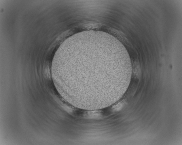 X0000072970622200608211323