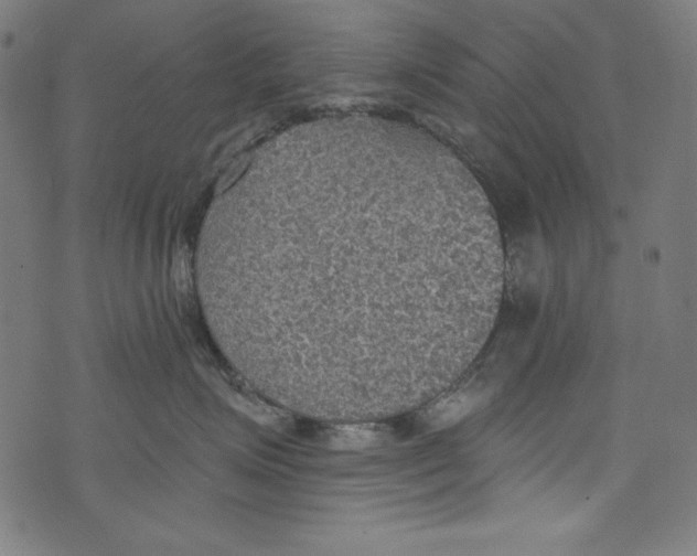 X0000072970623200608211323