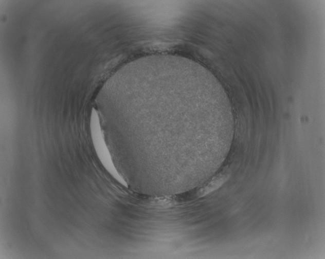 X0000072970624200608211323