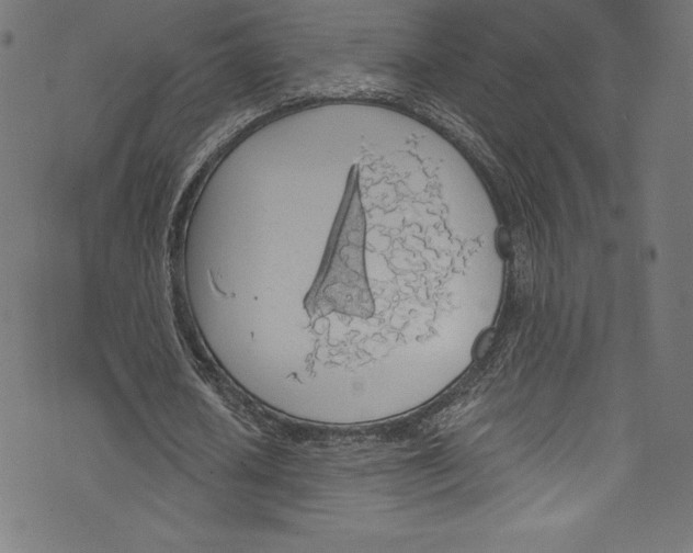 X0000072970626200608211322