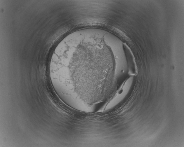 X0000072970627200608211322