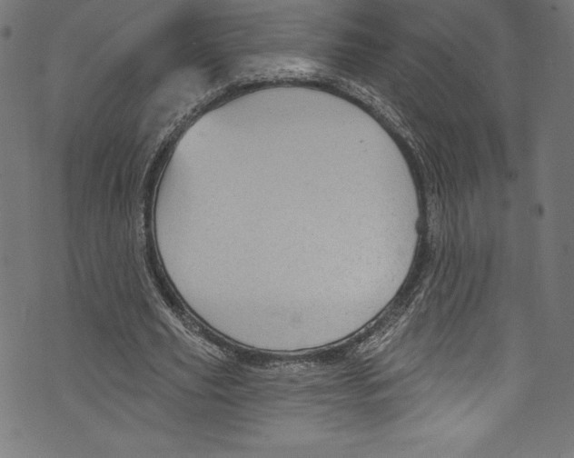 X0000072970629200608211322