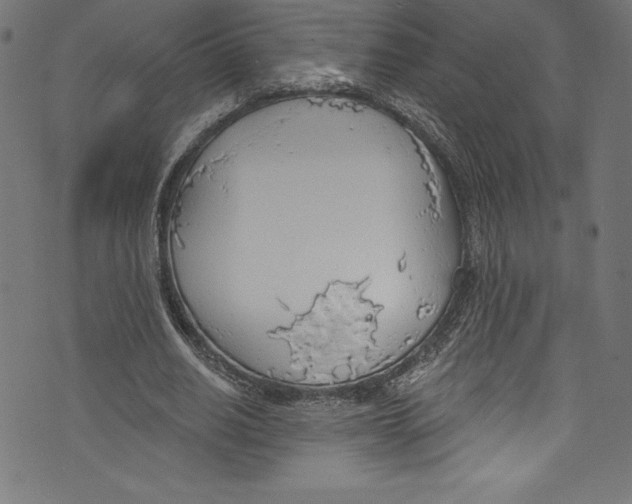 X0000072970630200608211322