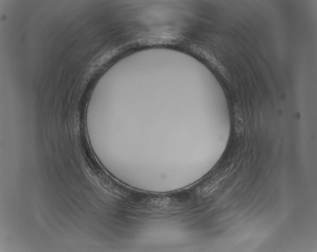 X0000072970631200608211323