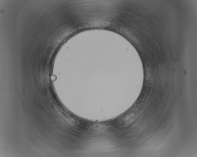 X0000072970632200608211323