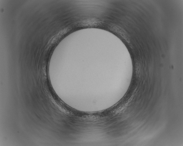 X0000072970633200608211323