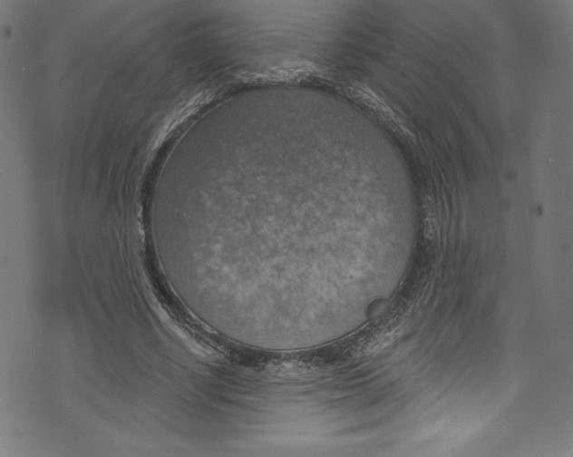 X0000072970634200608211323