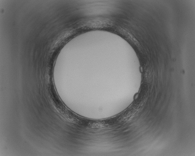 X0000072970635200608211323