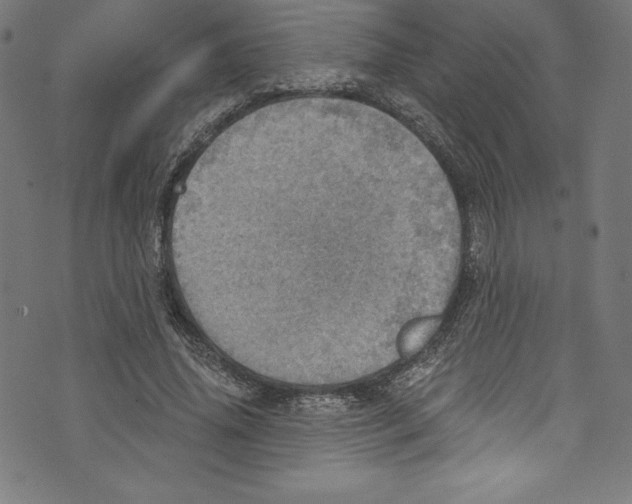 X0000072970636200608211323