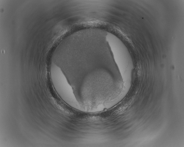 X0000072970637200608211323