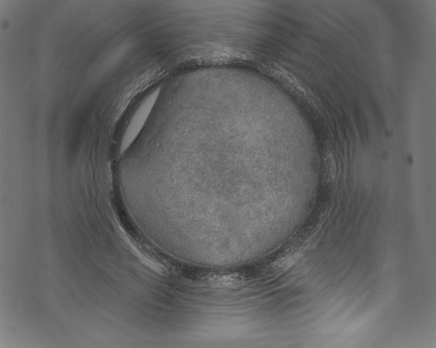 X0000072970638200608211323