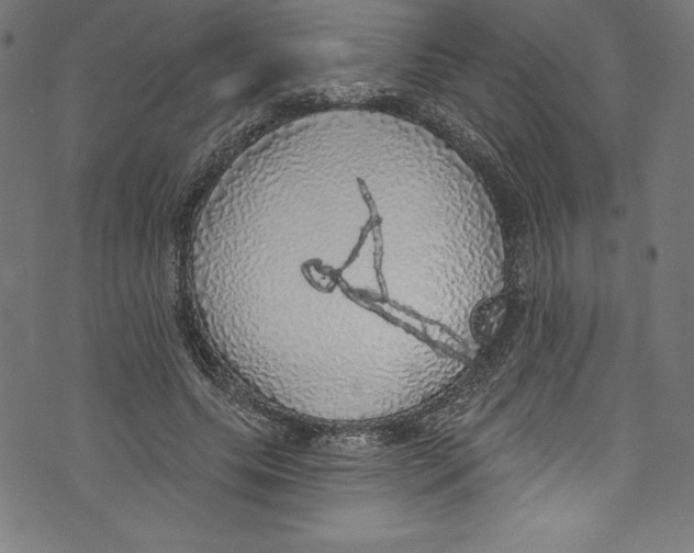 X0000072970639200608211323