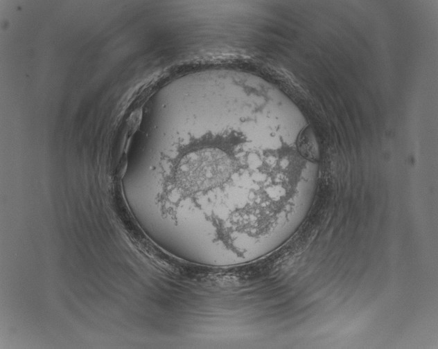 X0000072970640200608211323