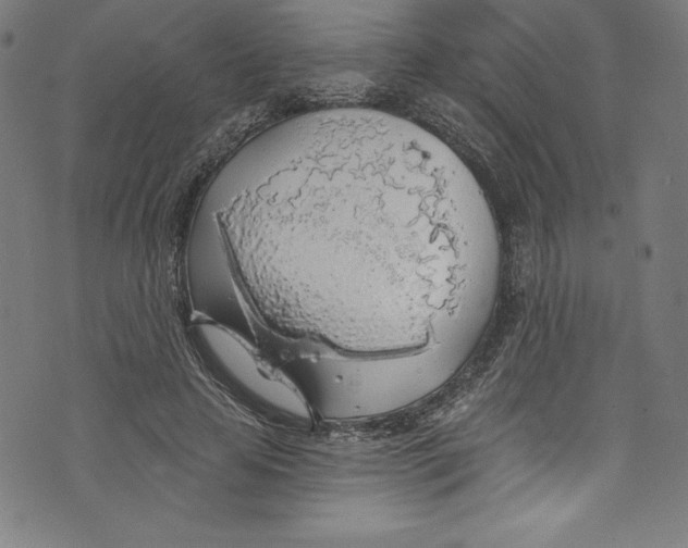 X0000072970641200608211323