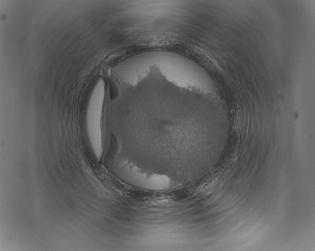 X0000072970643200608211323