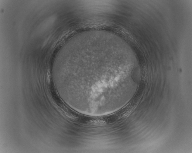 X0000072970644200608211323