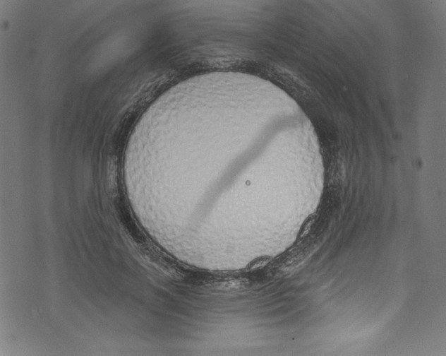 X0000072970646200608211323