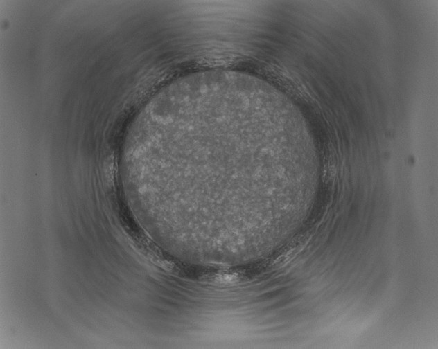 X0000072970647200608211323