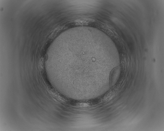 X0000072970649200608211323