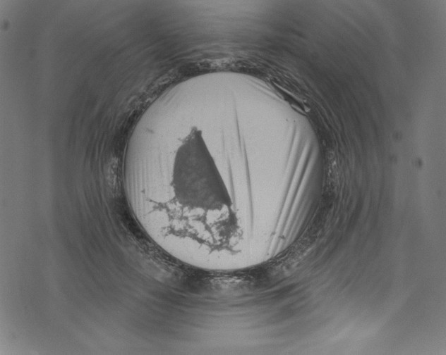 X0000072970650200608211323