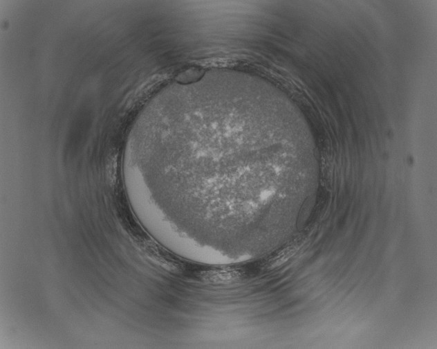 X0000072970652200608211323