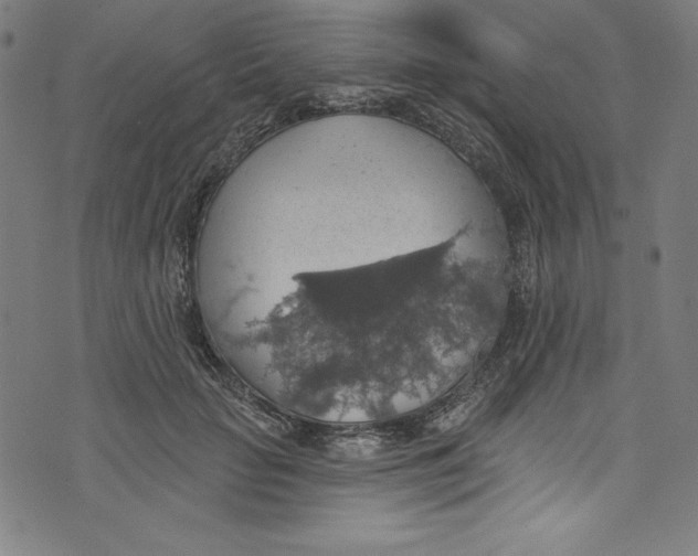 X0000072970653200608211323