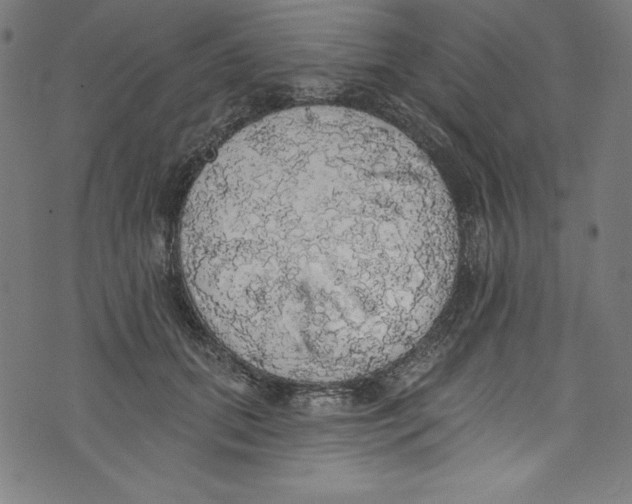 X0000072970655200608211323