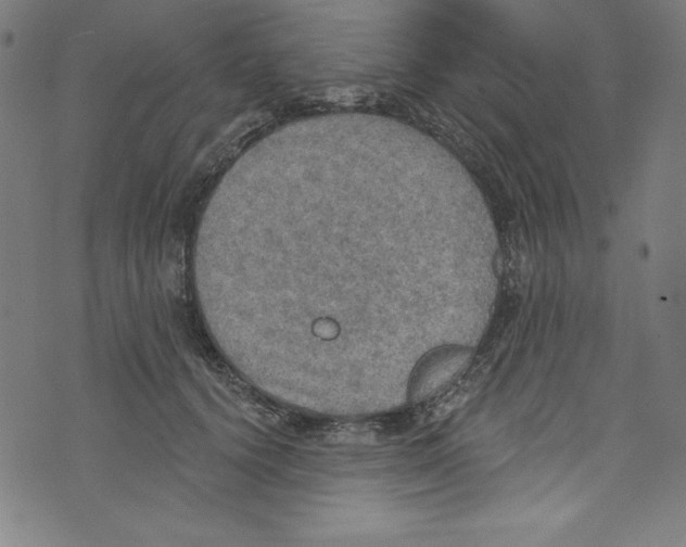 X0000072970656200608211323