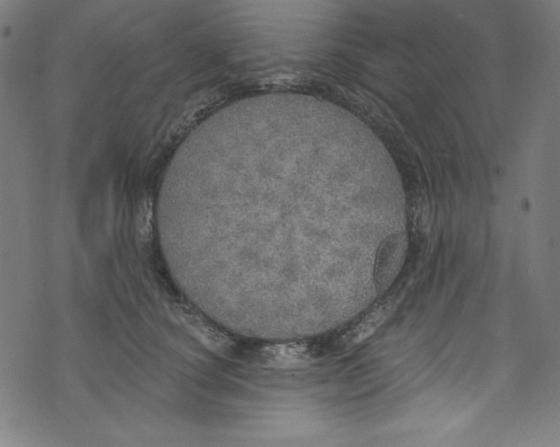 X0000072970660200608211323