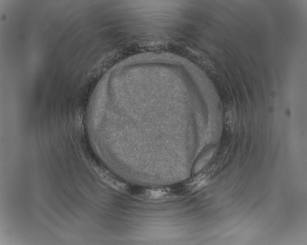 X0000072970662200608211323