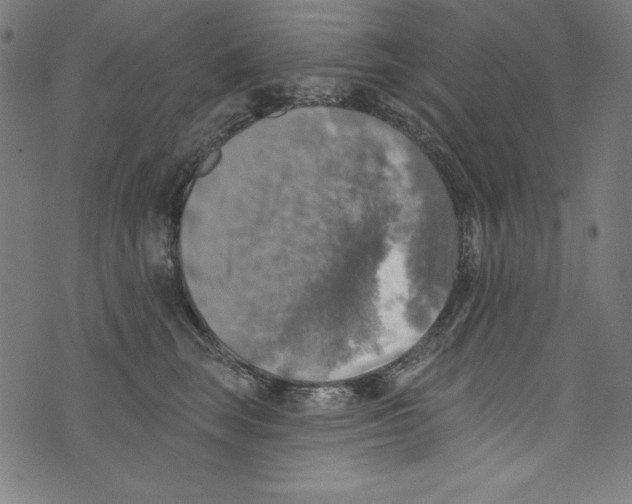 X0000072970663200608211323