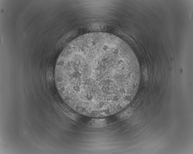 X0000072970665200608211323