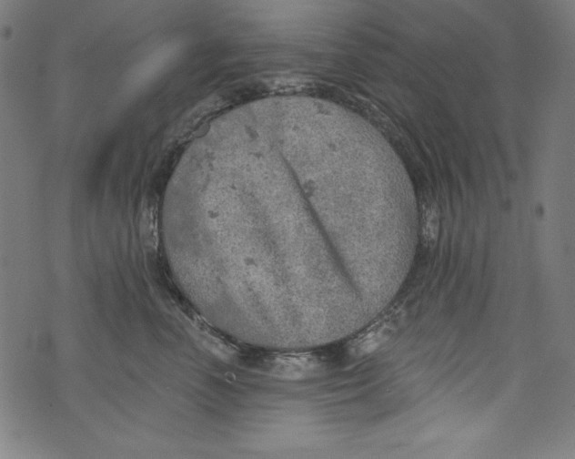 X0000072970666200608211323