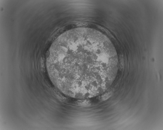 X0000072970667200608211323