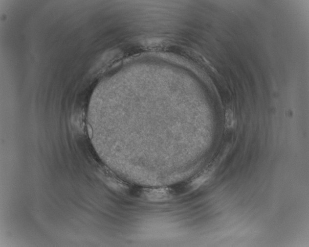 X0000072970671200608211323