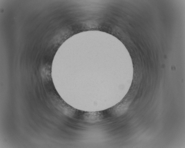 X0000072970672200608211323