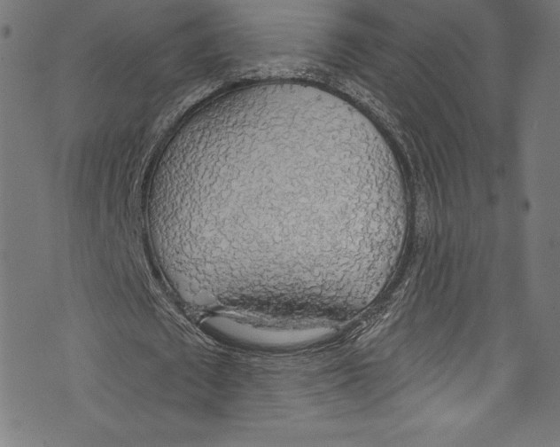 X0000072970673200608211322