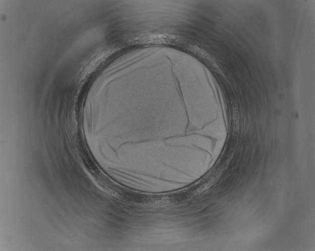 X0000072970674200608211322