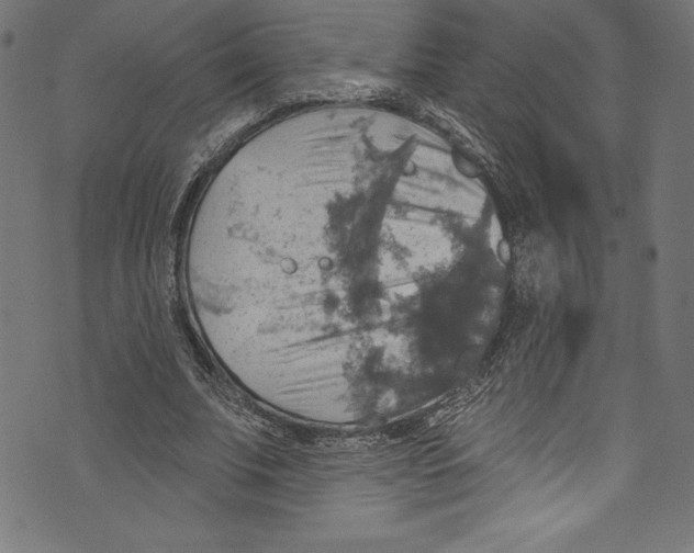 X0000072970679200608211322