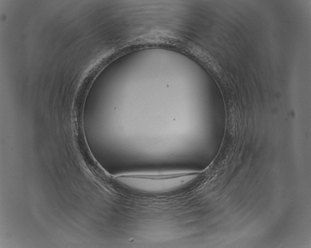 X0000072970680200608211322