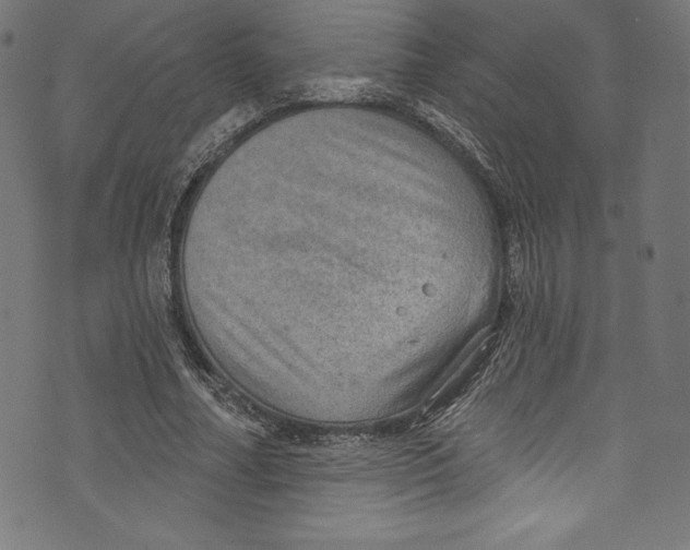 X0000072970682200608211322