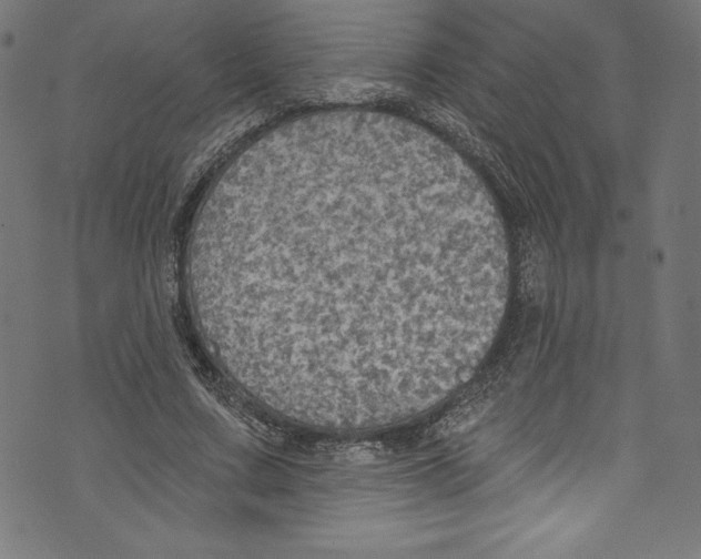 X0000072970683200608211322