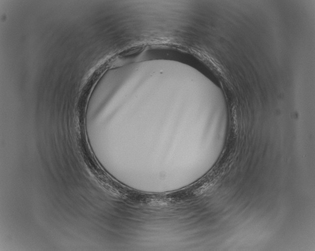 X0000072970684200608211322